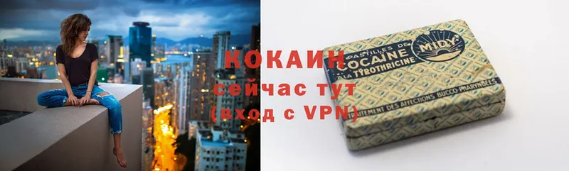 COCAIN FishScale  где купить наркоту  Нерчинск 